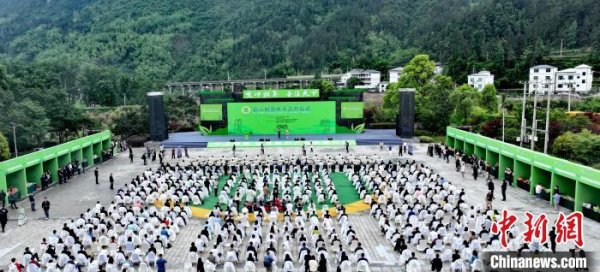 众银策略 第六届茶业大会在贵州江口开幕 聚焦茶产业创新发展
